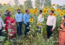 छिंदवाड़ा: चारगांव कर्बल कृषि नवाचार का प्रेरणादायक केंद्र बनकर उभरा छिंदवाड़ा: चारगांव कर्बल कृषि नवाचार का प्रेरणादायक केंद्र बनकर उभरा