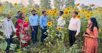 छिंदवाड़ा: चारगांव कर्बल कृषि नवाचार का प्रेरणादायक केंद्र बनकर उभरा
