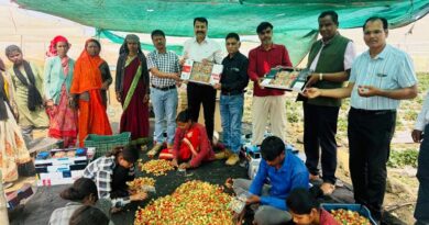 छिंदवाड़ा के कैलाश पवार ने पॉलीहाउस में की गोल्डन बेरी और रास्पबेरी की खेती