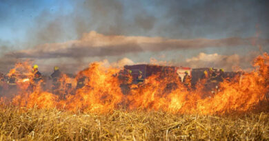 सीहोर जिले के उन्नतशील किसान नरवाई नहीं जलाने के लिए कर रहे प्रेरित सीहोर जिले के उन्नतशील किसान नरवाई नहीं जलाने के लिए कर रहे प्रेरित