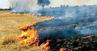 खंडवा: नरवाई जलाने वाले दो किसानों पर 2500-2500 का जुर्माना लगाया