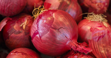 MP प्याज मंडी रेट: किसानों को 200 से 1500 रुपये प्रति क्विंटल तक मिले दाम, जानें 10 मार्च के ताजा भाव