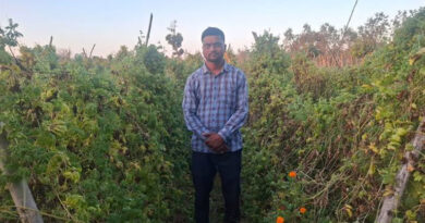 शहडोल के पारसमणि ने नौकरी के बजाय उद्यानिकी खेती में चुनी अपनी राह