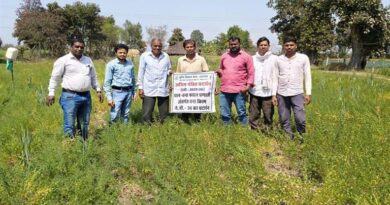 शहडोल जिले में चना फसल पर प्रक्षेत्र दिवस का आयोजन किया
