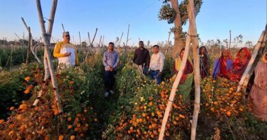 शहडोल: हाईटेक हॉर्टिकल्चर फार्मिंग से लाखों की कमाई कर रहे पारसमणि