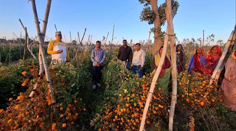 शहडोल: हाईटेक हॉर्टिकल्चर फार्मिंग से लाखों की कमाई कर रहे पारसमणि