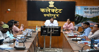 नेपियर घास लगाने हेतु पंचायतों में दो-दो  हेक्टेयर भूमि चिन्हित करें- कलेक्टर श्योपुर