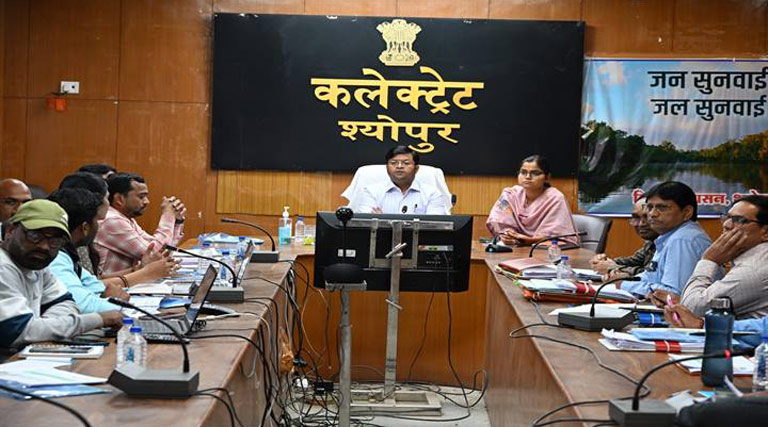 नेपियर घास लगाने हेतु पंचायतों में दो-दो  हेक्टेयर भूमि चिन्हित करें- कलेक्टर श्योपुर