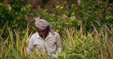 राजस्थान: सिंचित क्षेत्र विकास (इंगानप) के कृषि अधिकारियों की खण्डीय समीक्षा बैठक आयोजित, किसानों तक अधिक लाभ पहुंचाने के निर्देश