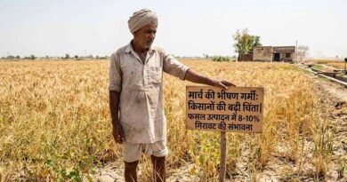 मार्च की गर्मी से बढ़ी किसानों की चिंता, फसल उत्पादन में 8–10% गिरावट की संभावना; वैज्ञानिकों ने बताए बचाव के उपाय