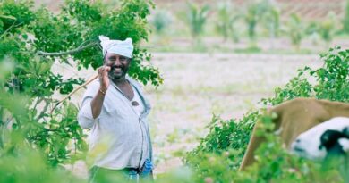 मध्यप्रदेश में कृषि योजनाओं से लाखों किसान लाभान्वित, सरकार का फोकस उत्पादन बढ़ाने पर: कृषि मंत्री कंषाना  