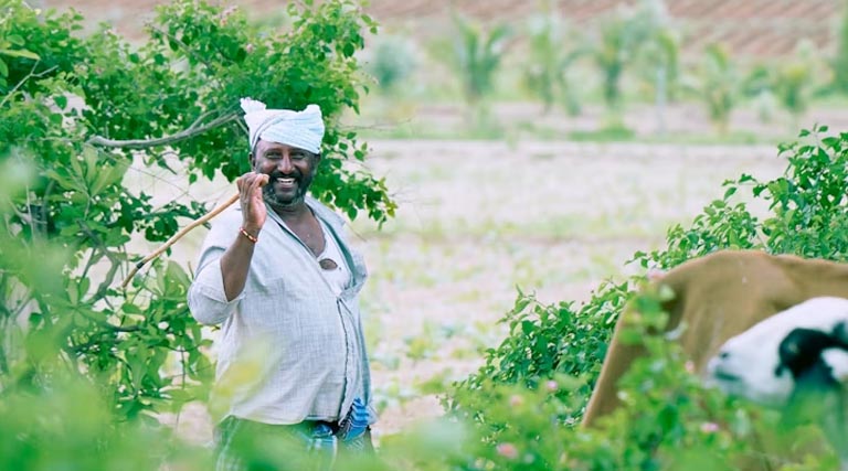 मध्यप्रदेश में कृषि योजनाओं से लाखों किसान लाभान्वित, सरकार का फोकस उत्पादन बढ़ाने पर: कृषि मंत्री कंषाना  