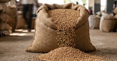 मध्यप्रदेश के किसानों को राहत, केंद्र सरकार ने सरसों भावांतर और तुअर खरीद की दी स्वीकृति