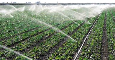 यूपी में किसानों के लिए सिंचाई व्यवस्था, विभिन्न परियोजनाओं का निर्माण