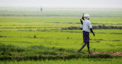 राष्ट्रीय कृषि उदय एक्सपो 2026: बुधनी में 22-24 मार्च तक लगेगा कृषि प्रदर्शनी मेला, 10 हजार किसान होंगे शामिल  