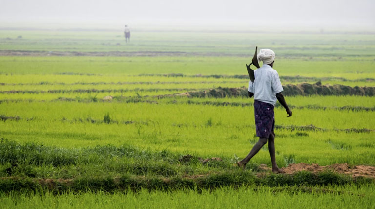 राष्ट्रीय कृषि उदय एक्सपो 2026: बुधनी में 22-24 मार्च तक लगेगा कृषि प्रदर्शनी मेला, 10 हजार किसान होंगे शामिल  