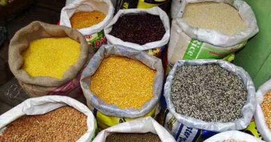 राजस्थान: अजमेर में समर्थन मूल्य पर दलहन-तिलहन खरीद के लिए 6 केन्द्र स्थापित