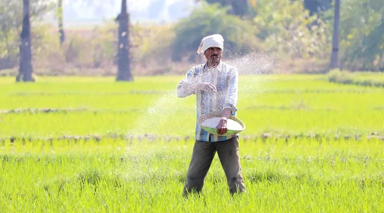 देश में उर्वरक का 163 एलएमटी स्टॉक, पिछले साल से 26% ज्यादा: वित्त मंत्री निर्मला सीतारमण