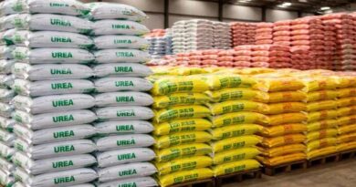 देश में उर्वरकों की पर्याप्त उपलब्धता, खरीफ-रबी मौसम में कोई कमी नहीं: केंद्रीय मंत्री नड्डा