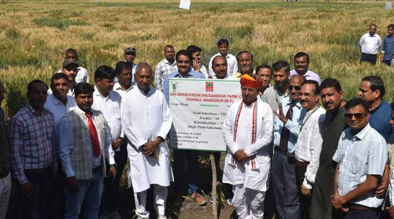 किसान कल्याण वर्ष 2026: खेती किसानों के लिए मंदिर समान