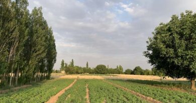 देश के कई हिस्सों में भारी बारिश, मौसम विभाग ने दी आंधी और ओलावृष्टि की चेतावनी