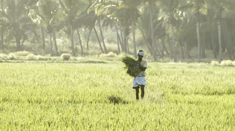 आगर-मालवा में दो दिवसीय कृषि विज्ञान मेले संपन्न, किसानों को आधुनिक खेती और नई फसलों की मिली जानकारी  