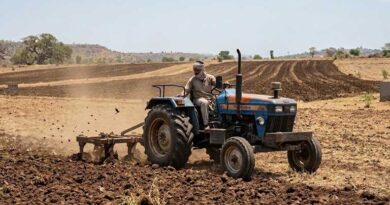 ग्रीष्मकालीन जुताई रू खरपतवार और कीट नियंत्रण के साथ उत्पादकता में सुधार ग्रीष्मकालीन जुताई रू खरपतवार और कीट नियंत्रण के साथ उत्पादकता में सुधार