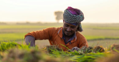 बिहार के कृषि विवि में तीन दिनों तक होगा राष्ट्रीय किसान मेला..तैयारियां जोरों पर