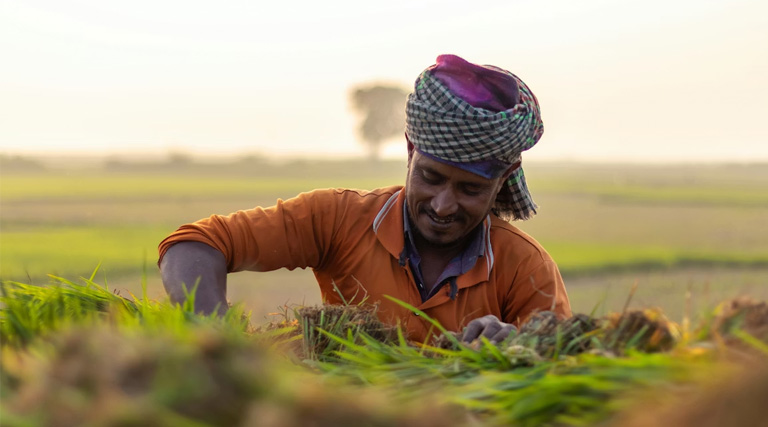 बिहार के कृषि विवि में तीन दिनों तक होगा राष्ट्रीय किसान मेला..तैयारियां जोरों पर