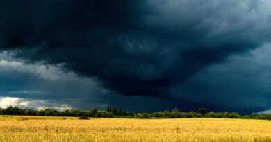 मौसम का बदला मिजाज: दिल्ली-यूपी समेत कई राज्यों में हल्की बारिश और तेज हवाओं की संभावना,  IMD ने जारी किया अलर्ट