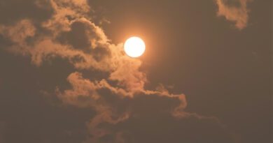 MP Weather Alert: राज्य में तेज गर्मी, खरगोन में पारा 38°C तक पहुंचा; किसानों के लिए सावधानी जरूरी