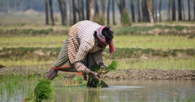 गुना : कृषक संगोष्ठी में जैविक एवं प्राकृतिक खेती की जानकारी दी गई