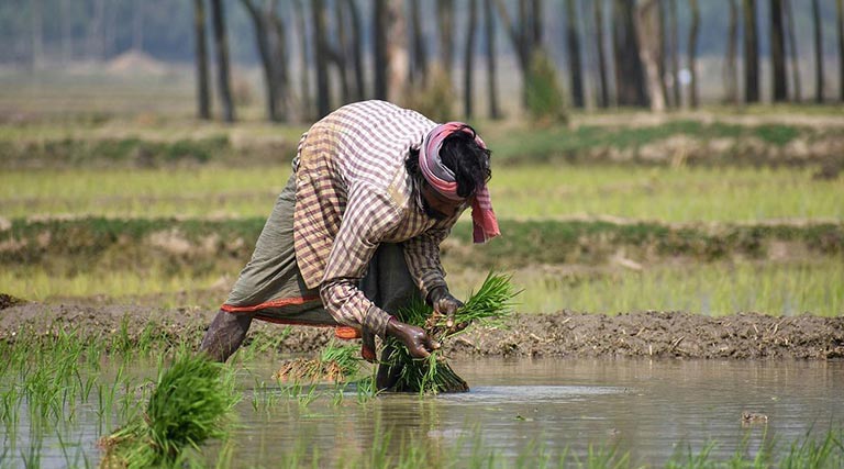 गुना : कृषक संगोष्ठी में जैविक एवं प्राकृतिक खेती की जानकारी दी गई