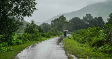 MP Weather Update: तेज गर्मी के बीच नया मौसम सिस्टम सक्रिय, कई जिलों में आंधी-बारिश और तेज हवाओं का अलर्ट