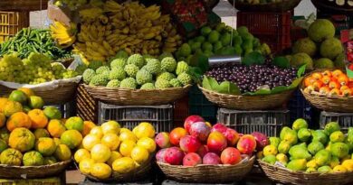 बागवानी क्षेत्र में 10.50 लाख हेक्टेयर की बढ़ोतरी, फल, सब्जी और मसालों में रिकॉर्ड उत्पादन