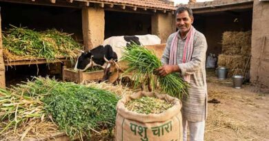 नीमच जिले में पशु चारे का निर्यात करने पर प्रकरण दर्ज