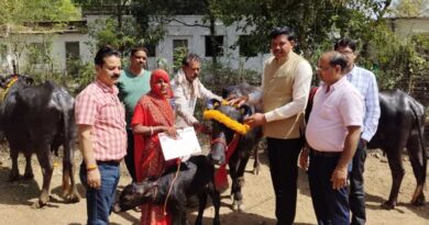 मध्यप्रदेश: मुख्यमंत्री दुधारू पशु प्रदाय योजना के तहत गुना के 11 किसानों को मिली मुर्रा भैंस