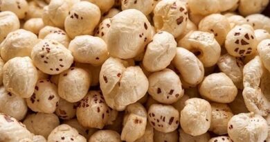 नर्मदापुरम जिले में मखाना खेती बनी किसानों के लिए नई उम्मीद