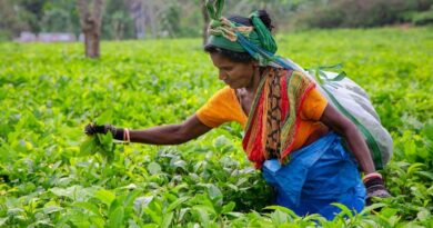 एआईसी ने शुरू की ‘कृषि सखी’ पहल, महिला किसानों को सशक्त बनाने का लक्ष्य  