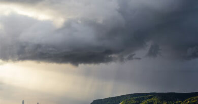 मध्यप्रदेश में बदला मौसम: भिंड-दतिया समेत 7 जिलों में ऑरेंज अलर्ट जारी  