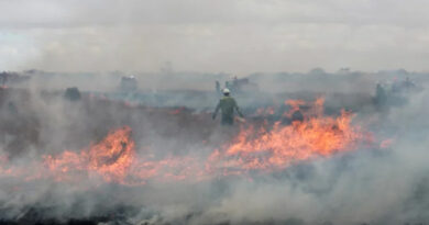 छतरपुर जिले में नरवाई जलाने पर रोक लगाई