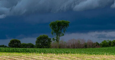 मध्यप्रदेश में मौसम का कहर: भोपाल, इंदौर और जबलपुर में भारी बारिश, कई जिलों में ओले गिरे; IMD ने जारी किया अलर्ट