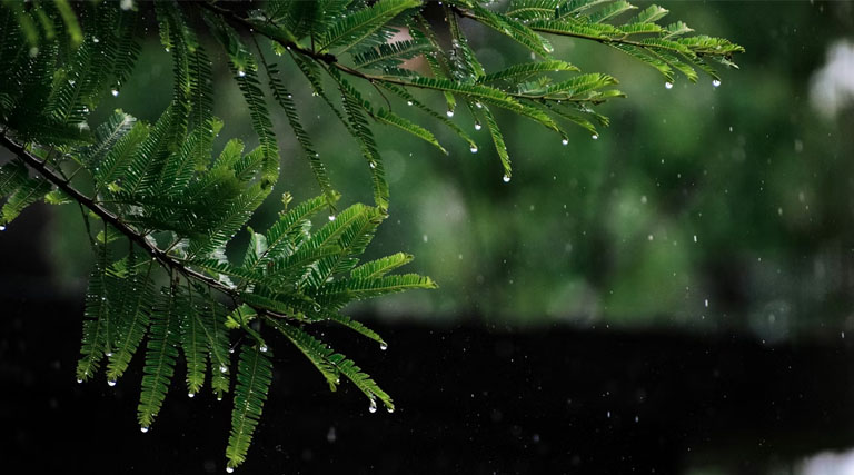 IMD अलर्ट: देशभर में मौसम अस्थिर, उत्तर-पश्चिम और पूर्वी भारत में अगले 4 दिन तेज हवाओं और बारिश की संभावना