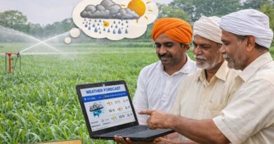 किसानों को सलाह सिंचाई से पहले मौसम पूर्वानुमान पर नजर रखें