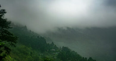 MP Weather Update: मध्यप्रदेश में बदला मौसम का मिजाज, रीवा-सागर में हल्की बारिश; रायसेन में 38°C पहुंचा तापमान  