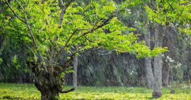 IMD अलर्ट: देशभर में बदलेगा मौसम, दो पश्चिमी विक्षोभ सक्रिय, कई राज्यों में बारिश-तूफान की चेतावनी