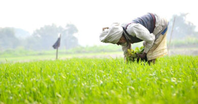 रायपुर : भूमिहीन कृषि मजदूर कल्याण योजना के तहत 25 मार्च को राशि वितरण कार्यक्रम
