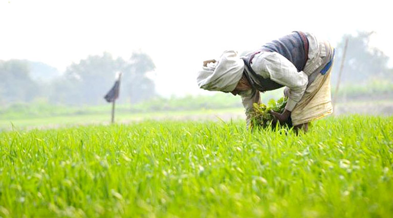 रायपुर : भूमिहीन कृषि मजदूर कल्याण योजना के तहत 25 मार्च को राशि वितरण कार्यक्रम