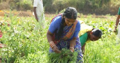 एग्रीस्टैक से मिली किसानों को डिजिटल पहचान, देशभर में 9 करोड़ से ज्यादा किसान आईडी जारी