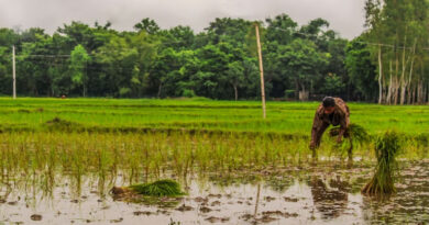 ग्राम–2026 के साथ राजस्थान की कृषि को मिल रहा व्यापक आयाम, तकनीक और नीतियों से खुल रहे अवसर